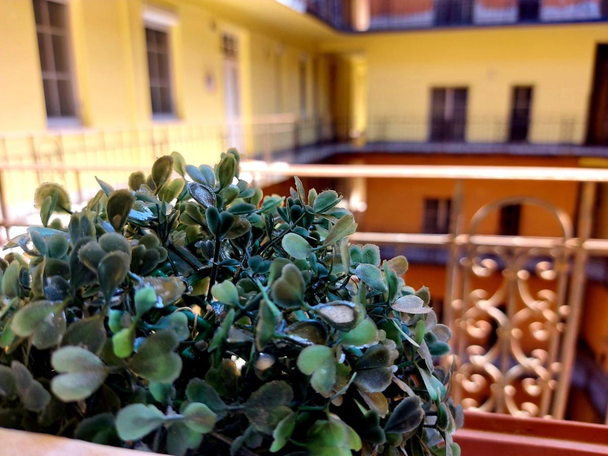 Gecko Centrum Studio Apartman Budapeszt Zewnętrze zdjęcie
