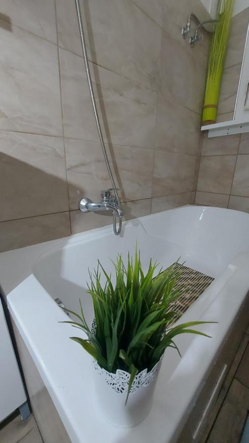 Gecko Centrum Studio Apartman Budapeszt Zewnętrze zdjęcie